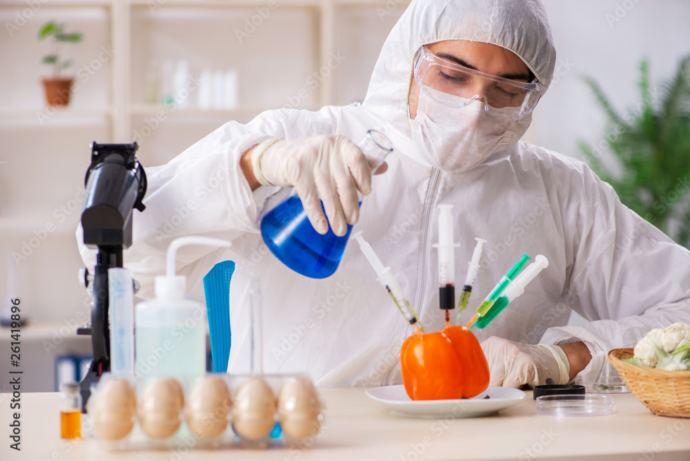 Scientist working in lab on GMO fruits and vegetables Scientist working in lab on GMO fruits and vegetables