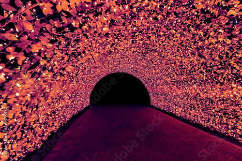Tunnel of light : Nabana No Sato,Japan