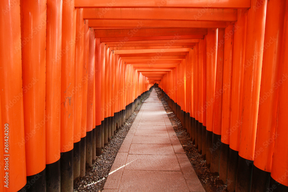 Torii Gate at Fushimi Inari Shrine ,Kyoto ,Japan Torii Gate at Fushimi Inari Shrine ,Kyoto ,Japan