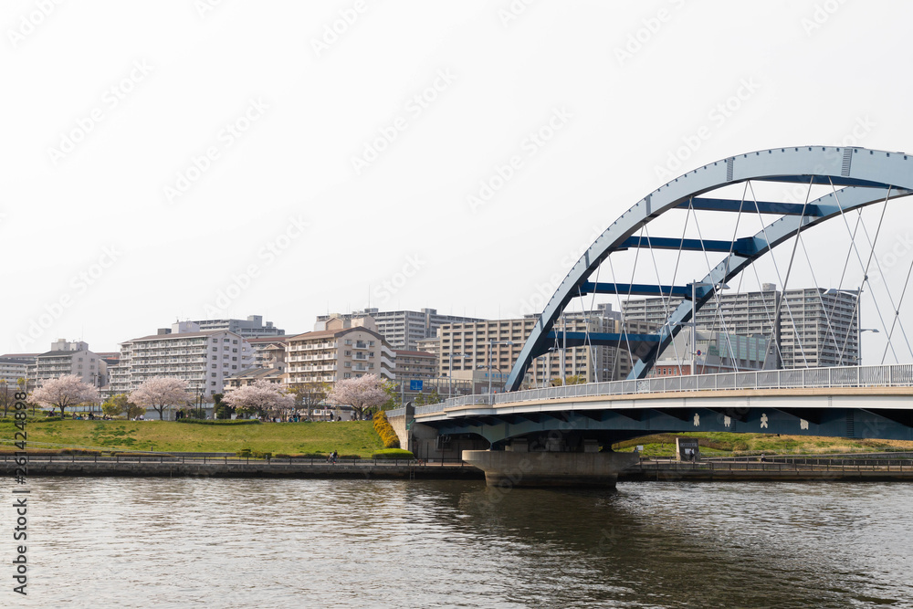 Fototapeta premium 桜と住宅街