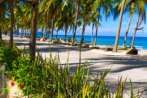 Beach Ban Krut Beach idyllic with shadow coconut at  Prachuap Khirikhun Province, Thailand is famous for travel photo