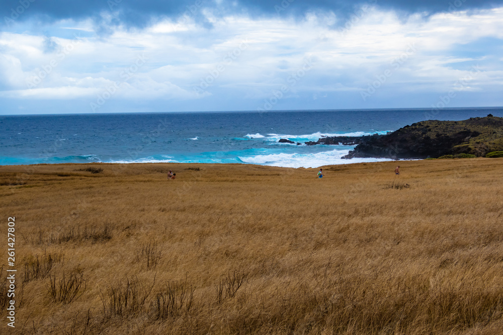 Green beach Hawaii big island view