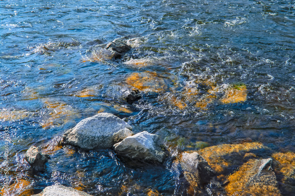 Water streams of a mountain river washing stones covered with colored moss. Water streams of a mountain river washing stones covered with colored moss.
