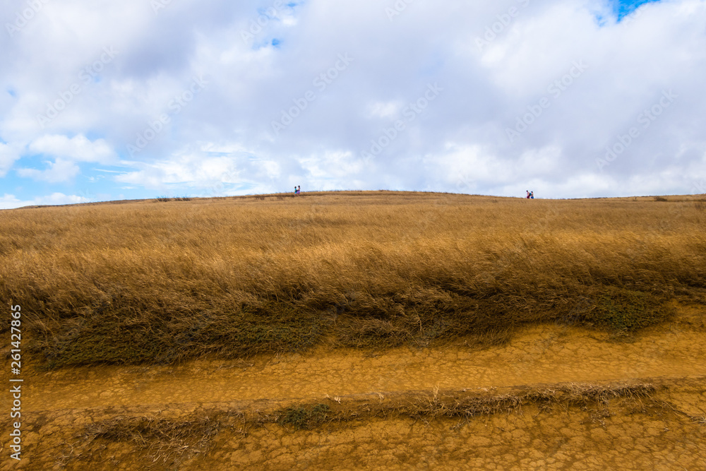 Fototapeta premium Green beach Hawaii big island view
