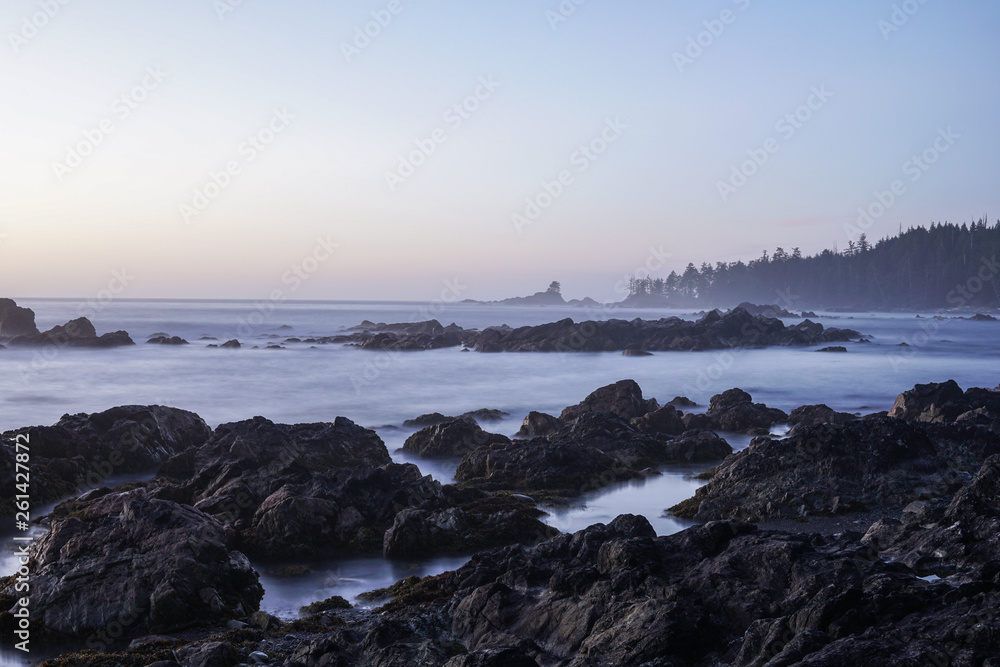 Wild Ocean Wild Ocean