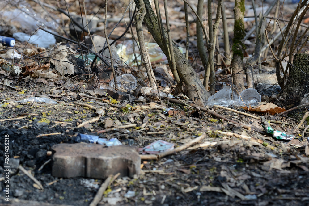 Garbage in the spring forest. The problem of ecology and pollution of nature Garbage in the spring forest. The problem of ecology and pollution of nature