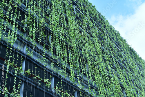 Green wall in  the facade of the condominium building 
