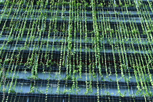 Green wall in  the facade of the condominium building 