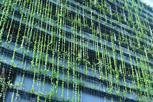 Green wall in  the facade of the condominium building 