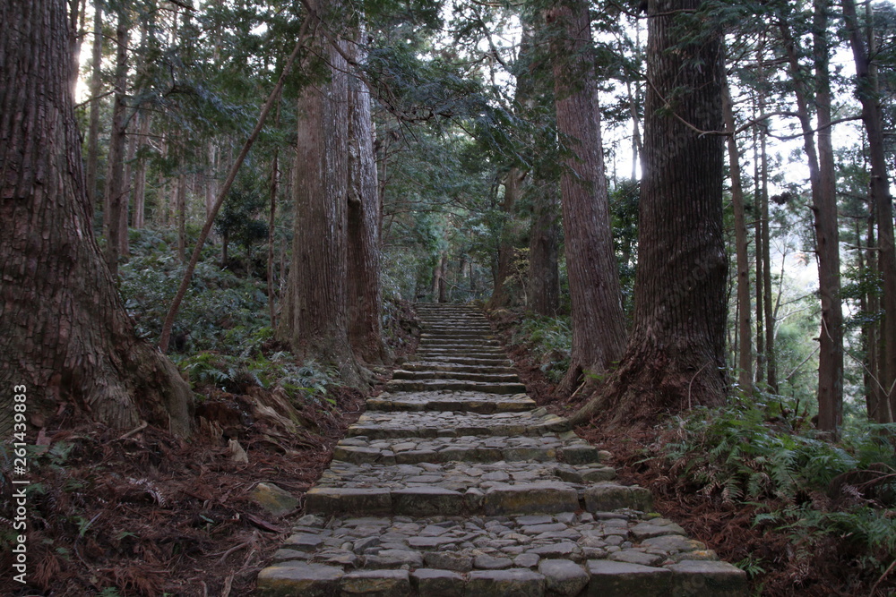 Obraz premium 熊野古道(中辺路) 大門坂