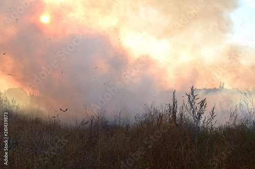 Ignition of dry grass and reeds.