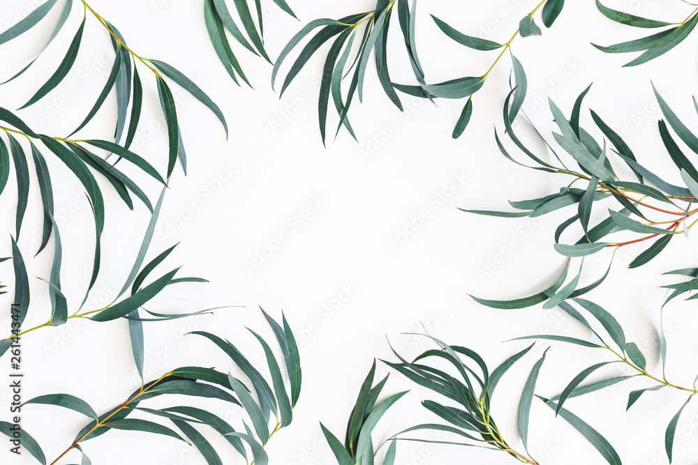Eucalyptus leaves on white background. Frame made of eucalyptus branches. Flat lay, top view Eucalyptus leaves on white background. Frame made of eucalyptus branches. Flat lay, top view