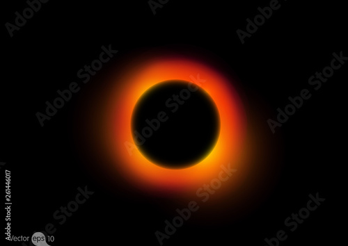 Black Hole Vector