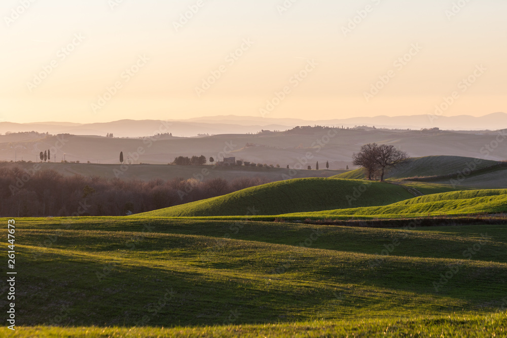 Obraz premium Beautiful view of Tuscany landscape hill at sunset, with mist and warm colors