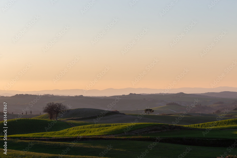 Beautiful view of Tuscany landscape hill at sunset, with mist and warm colors