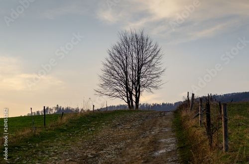 Fototapeta Naklejka Na Ścianę i Meble -  Zachód Słońca, Beskid Sądecki