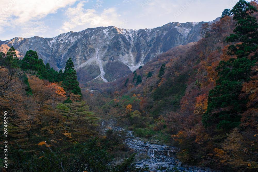 Obraz premium autumn mountain