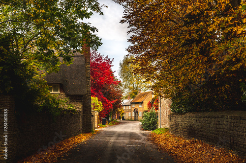 Road in beautiful countryside with cottages