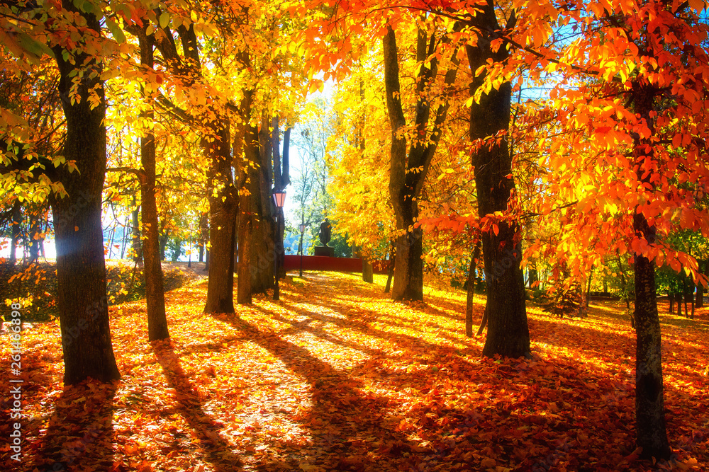 Autumn scene. Bright colorful landscape yellow trees in autumn park. Fall