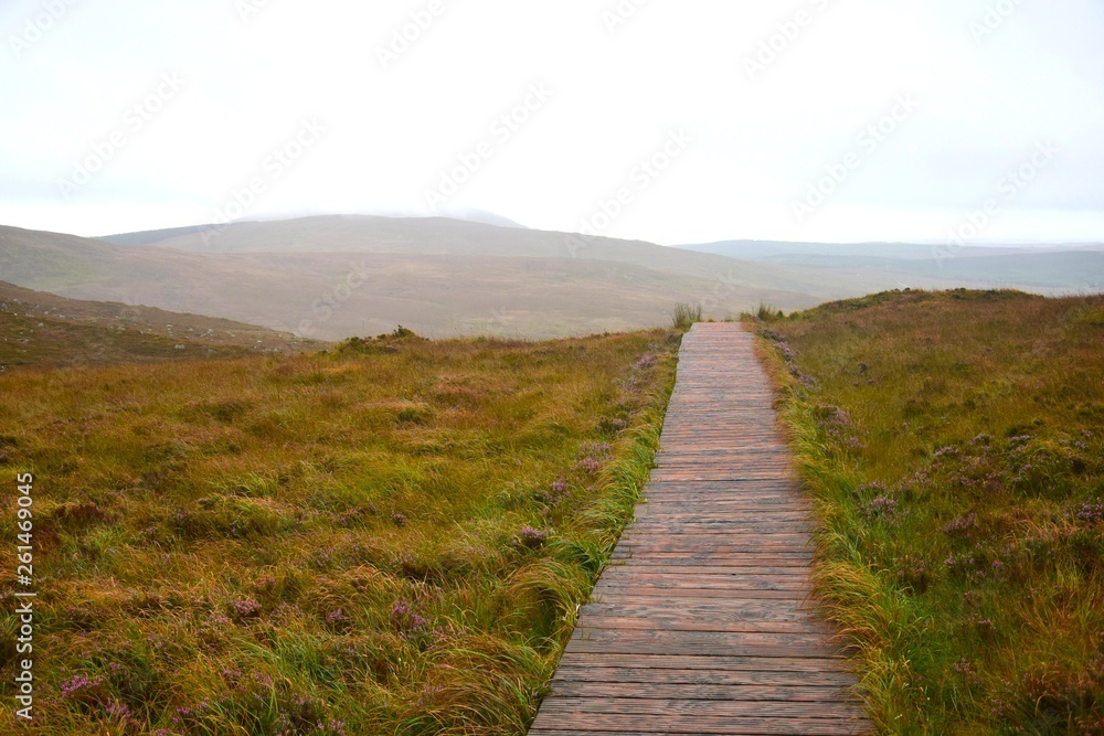 A wooden pathway through the Connemara National Park in Ireland.
