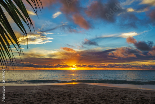 Fototapeta Naklejka Na Ścianę i Meble -  looking through palm leaf at sunset at anse georgette,praslin,seychelles 12