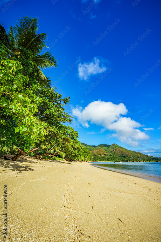 golden paradise beach at anse possession, praslin, seychelles 3
