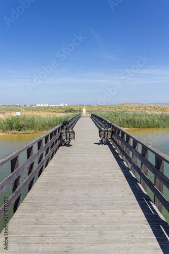 Views near Dos Salgados beach in Algarve  Portugal 