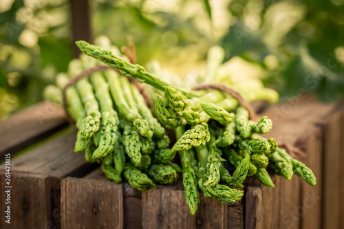 Closeup of healthy green asparagus on a wooden box