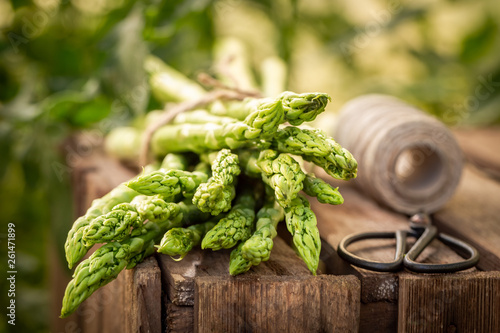 Green and fresh asparagus in a rustic greenhouse