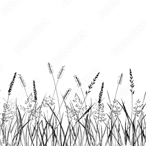 Seamless pattern grass strip. Vector Illustration