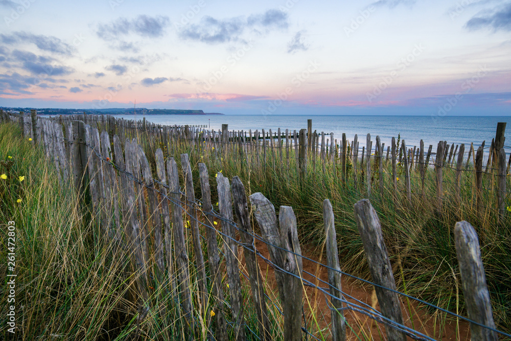 A wooden fence running along a sandy beach covered in reeds at sunset