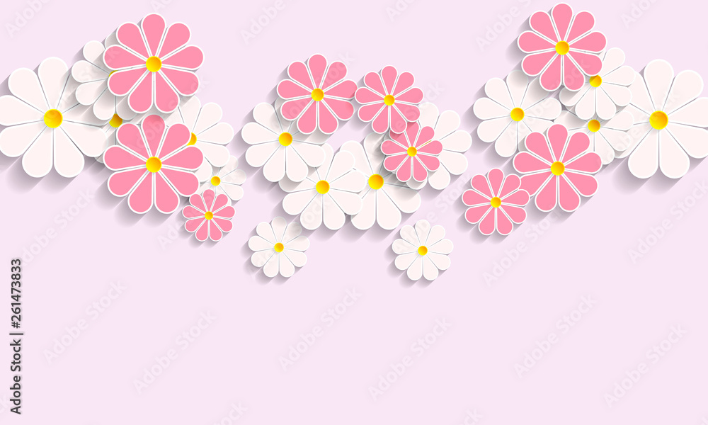 buds of daisies on a pink background