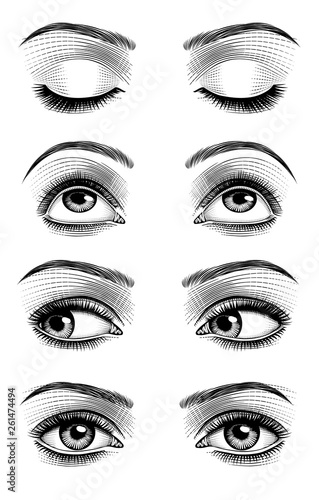 Women's luxurious eyes with perfect eyebrowes and full lashes. Vintage engraving stylized drawing. Vector illustration