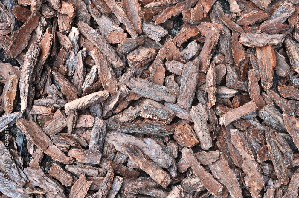 surface of the flower bed covered with oak bark