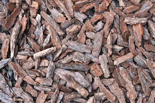 surface of the flower bed covered with oak bark