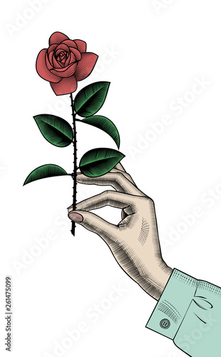 Female hand with red rose. Vintage engraving stylized drawing. Vector illustration
