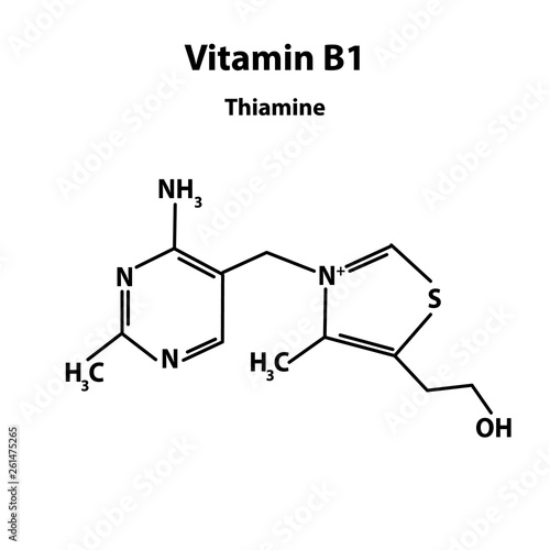 Vitamin B1. Thiamine Molecular chemical formula. Infographics. Vector illustration on isolated background.