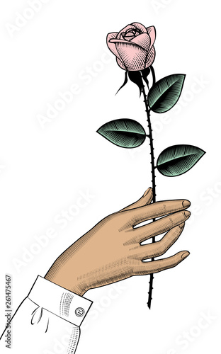 Female hand with red rose. Vintage engraving stylized drawing. Vector illustration