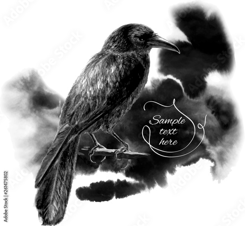 The raven sitting on a branch. Vector illustration