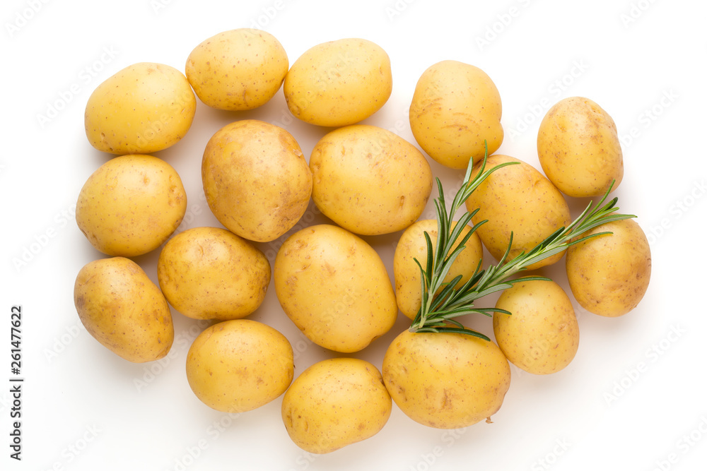 New potato and rosemarin isolated on white background close up. New potato and rosemarin isolated on white background close up.