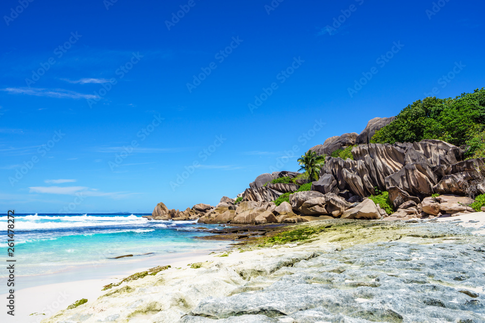 Coral reef and big granite rocks with palms at the beach of grand anse, la digue, seychelles 2