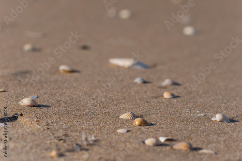 Wallpaper Mural Usedom baltic sea sunny day beach Torontodigital.ca
