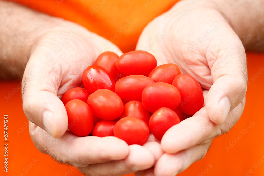 Cherry tomatoes.