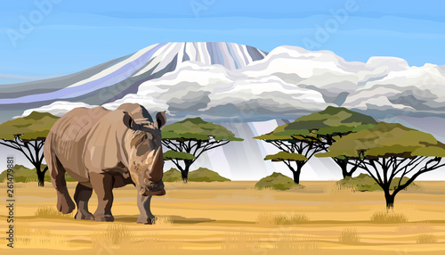 Big African rhino walking in savanna in Africa vector illustration