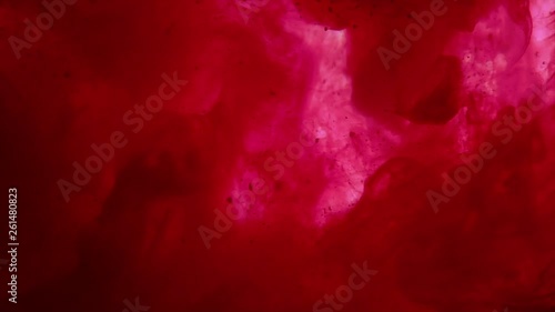 Red ink in water. Acrylic splash on white background, art, liquid, cloud footage claret red, blood colored. 