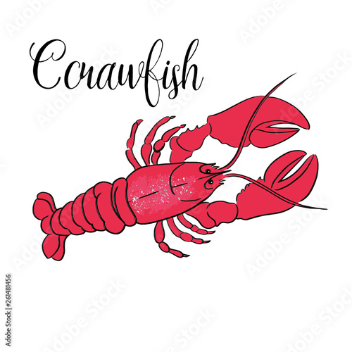 Crawfish line vector illustration