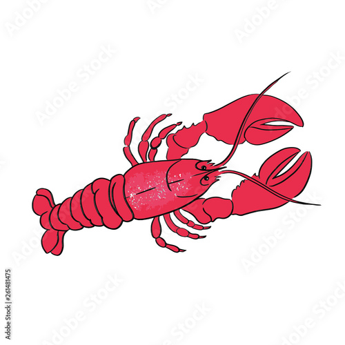 Crawfish line vector illustration
