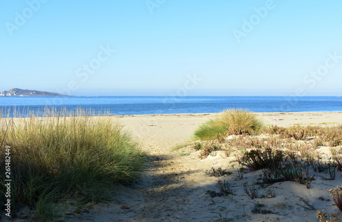 Beach with vegetation in sand dunes and morning light. Sunny day, blue sky, Galicia, Spain.