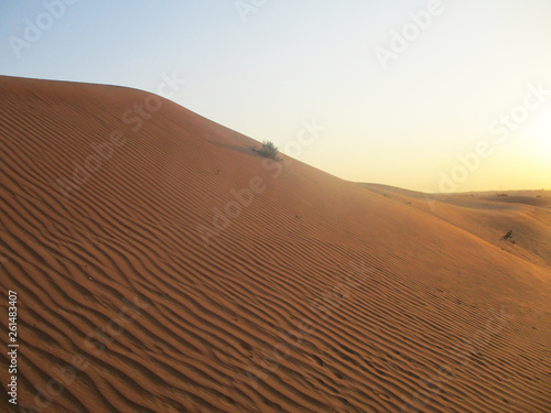 Sand dunes in Sahara desert