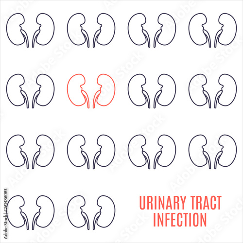 Urinary tract infection kidney disease awareness poster made in linear style on white background. Healthy urinary system medical concept. Human body organ anatomy icon. Vector illustration.